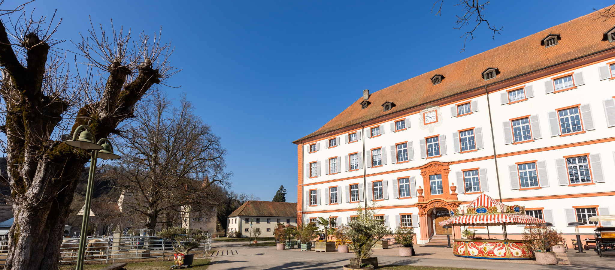 Neubau, Neubauprojekt, Bauvorhaben Rheinfelden